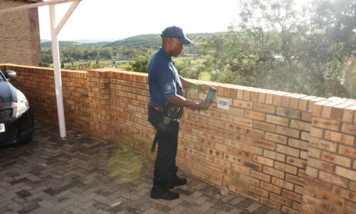 Guards conducting patrols